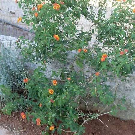 Li Cuti Bed & Breakfast Tiggiano